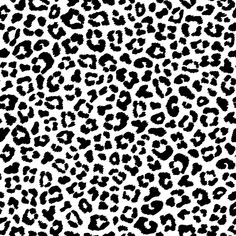 Leopard Skin Fabric - Black/White - ineedfabric.com Leopard Print Svg, Black And White Leopard, White Leopard Print, Leopard Skin, Black And White Fabric, White Leopard, Digital Print Fabric, Pigment Ink, Cricut Svg