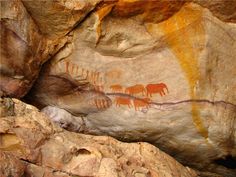 cave paintings depicting elephants and horses on the side of a cliff face, with yellow streaks coming from them