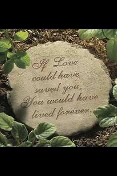 a stone with the words i love you and leaves around it, surrounded by dirt