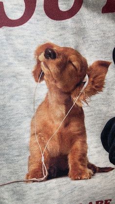 a dog with headphones sitting on top of a t - shirt