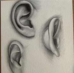 three drawings of ear shapes and the top one is drawn in charcoal pencil on paper