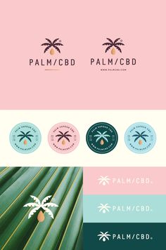 the palm tree logo is shown in three different colors