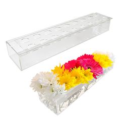 two clear vases with flowers in them on a white background and one is empty