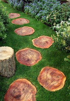 several pieces of wood sitting on top of green grass