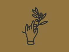 a hand holding a plant over a brown background