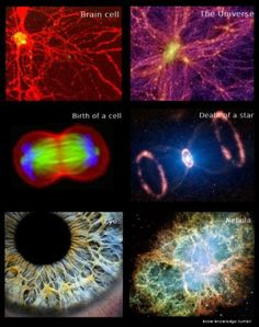 the different types of stars and their names are shown in this image with caption