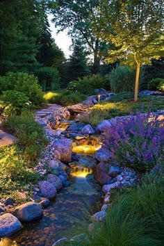 a small stream flowing through a lush green forest filled with trees and bushes at night