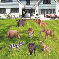 a herd of wild animals standing on top of a lush green field next to a house