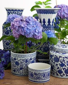 several blue and white vases with flowers in them on a table next to each other