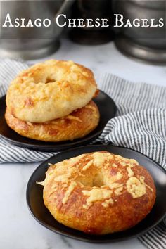 Asiago Cheese Bagels Cheese Bagels, Cooking Bread, Asiago Cheese, Panera Bread, Cheese Topping, Asiago, Breakfast Breads