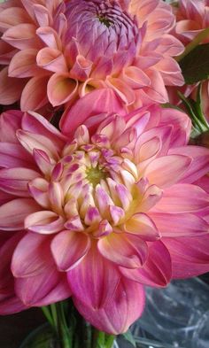 pink and yellow flowers in a glass vase