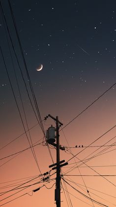 the sky is full of stars and power lines