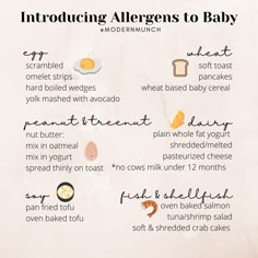 an info sheet with instructions on how to prepare baby food