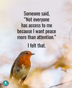 a bird sitting on top of a tree branch with a quote about someone said not everyone has access to me because i want peace more than attention