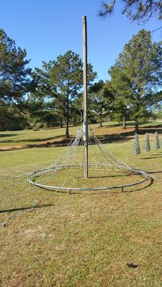 an outdoor area with several trees in the grass and a net on top of it