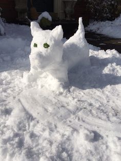 a snowman made to look like a cat sitting in the snow with its eyes open