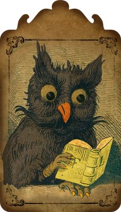 an owl is reading a book while sitting down