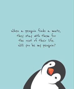 a black and white penguin sitting on top of a blue background with the words when a penguin finds a mate, they stay with them for the rest of their life will you be my penguins