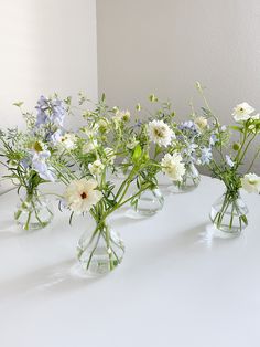 several clear vases filled with white and blue flowers sitting on a counter top next to a wall