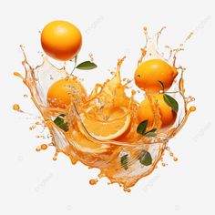 orange singing with zest and musical notes a fruitful melody orange fruit water splash png Water Splash Png, Orange Splash, Splash Png, Water Splash, Fruit Water, Orange Fruit, Musical Notes, Musical Note, Singing