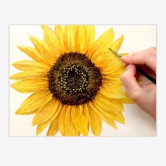 a person is drawing a sunflower on a piece of paper with watercolor pencils