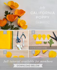 the instructions for making felt california poppys are shown in three different pictures, including scissors and paper flowers