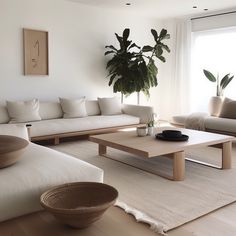 a living room filled with furniture and a potted plant on top of a table