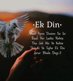 a person holding a white bird in their hand with the words e k din on it