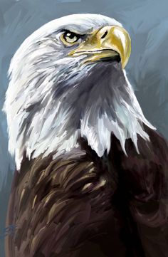 an eagle is shown with the red line in its beak and it's head