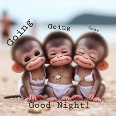 three little monkeys sitting next to each other on the beach with words going one good night