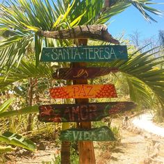 a wooden sign that says santa teresa and paz nome is on top of a palm tree