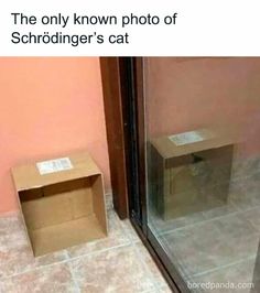 the only known photo of schrodinger's cat is in this box