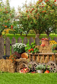 an apple orchard with hay bales, apples and flowers