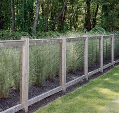 a row of wooden fences with grass growing between them