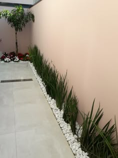 an outdoor area with plants and rocks on the ground next to a wall that has pink walls