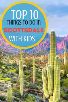 a cactus with the words top 10 things to do in scottsdale with kids on it