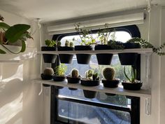 there are many potted plants on the window sill