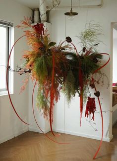 an arrangement of plants is hanging from the ceiling in a room with wood flooring