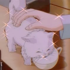 a white cat drinking out of a cup being held by someone's hand over a sink