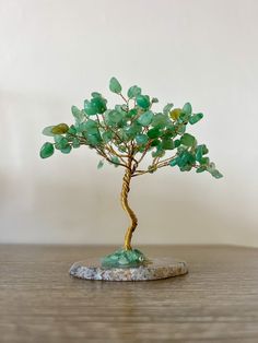 a small tree with green leaves on top of a wooden table