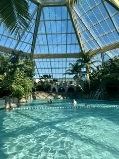 people are swimming in an indoor pool surrounded by palm trees and glass roofed buildings