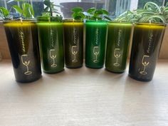 six green and yellow wine glasses with plants in them