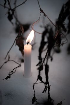 a white candle is lit in the dark with some branches around it and snow on the ground