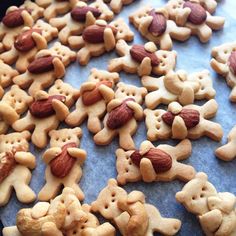 there are pictures of cookies made to look like teddy bears and nuts on the cookie sheet