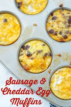 an egg muffin tin filled with sausage and cheddar eggs