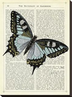 a blue and black butterfly sitting on top of an open book with the words dictionary of gardening