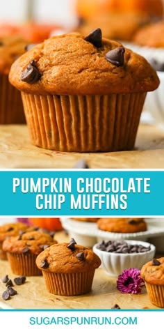 pumpkin chocolate chip muffins with text overlay