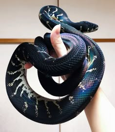 a person holding a snake in their hand with it's tail wrapped around the other end