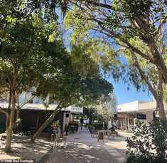 people are sitting at tables under trees on the sidewalk in front of shops and restaurants