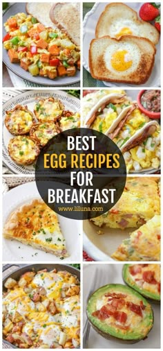 the best egg recipes for breakfast